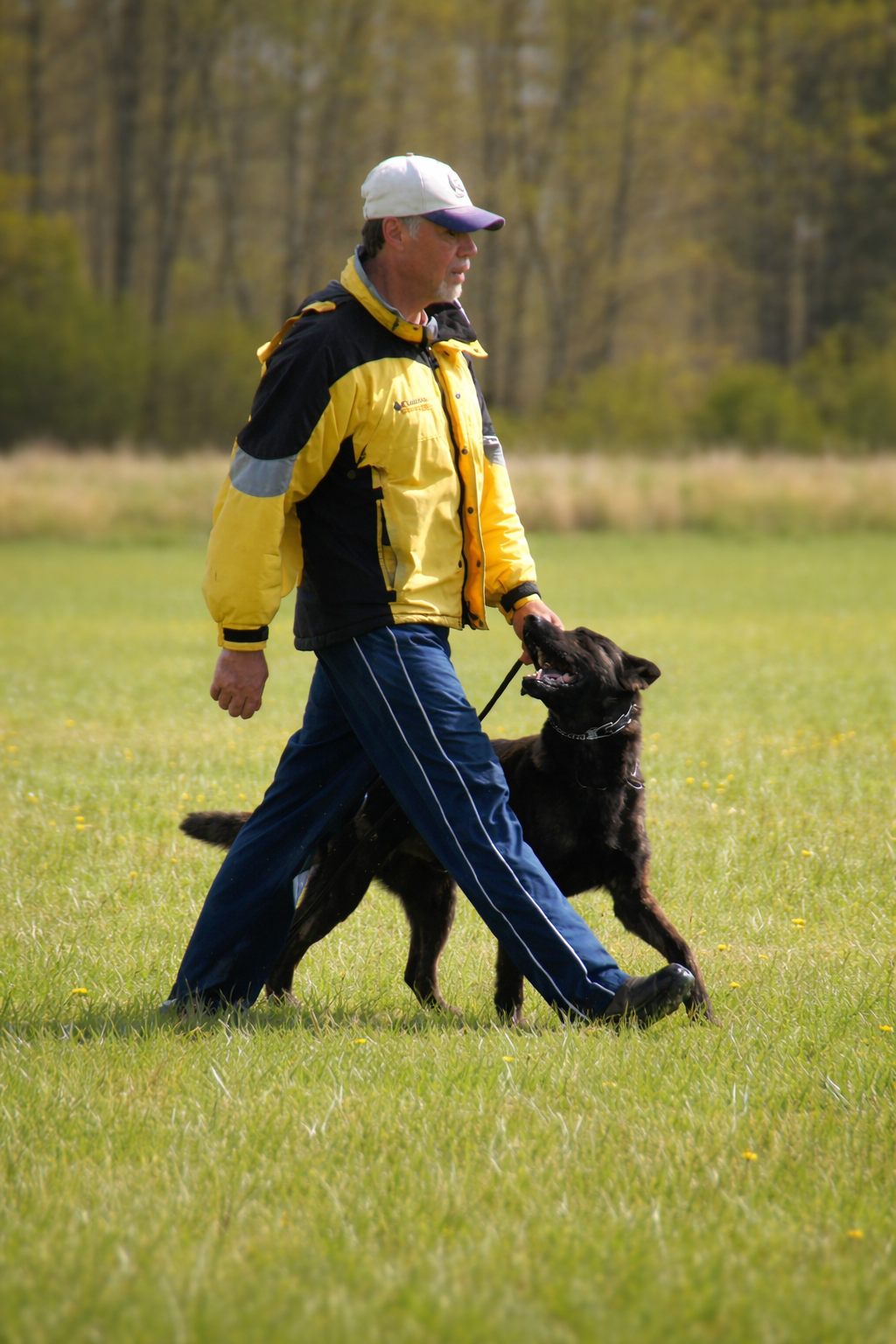 Holland Eran van le Dobry working in focused heel position